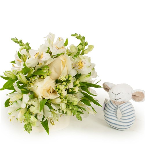 Chocalho Ovelha + Buquê Paz com Flores Brancas P
