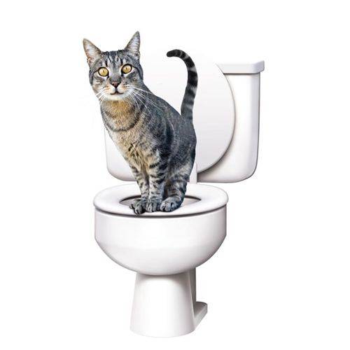 Citikitty Bandeja Higienica Treinamento Sanitario para Gatos