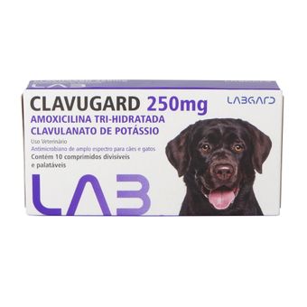Clavugard Labgard C/ 10 Comprimidos 250mg