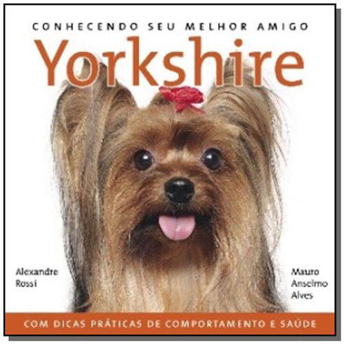 Conhecendo Seu Melhor Amigo: Yorkshire Terrier