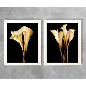 Conjunto de Quadros Flor N9A e N9B Floral N9A e N9B Branca 3cm