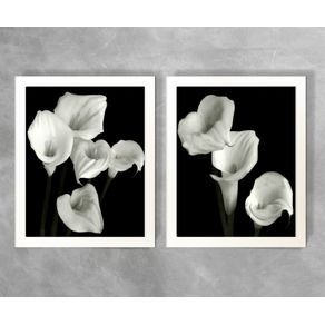 Conjunto de Quadros Floral Copo de Leite PB 1 e 2 Floral Copo de Leite PB1 e PB2 Branca 3cm