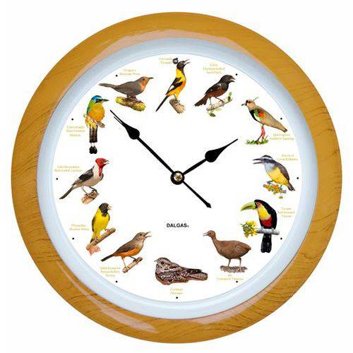 Conjunto Relógio de Parede com Sons de Pássaros com Borda na Cor Marfim (Adendo Sonoro) e Livro os D