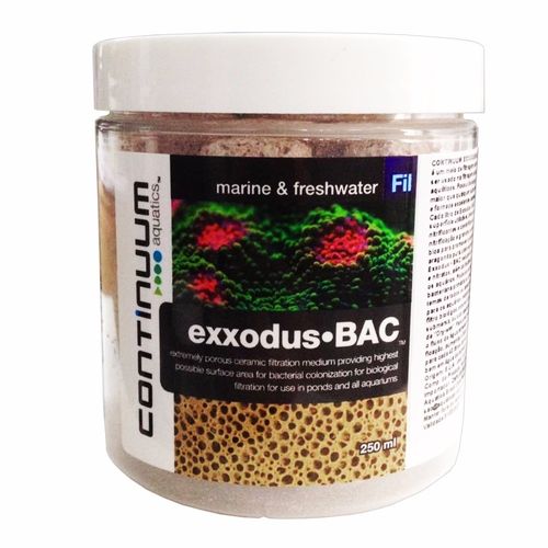 Continuum Exxodus Bac Cubos Bio Filtragem 250ml