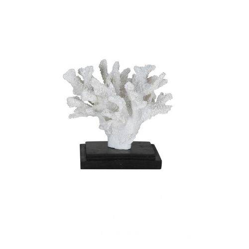 Coral Decorativo em Resina Branco 16x17,5x16cm Vol. 7