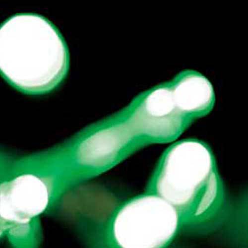 Cordão Luminoso Taschibra 50 Leds 8F Verde 220v