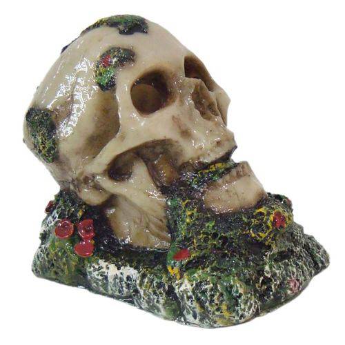 Cranio com Musgo Enfeite para Aquário Decoração.