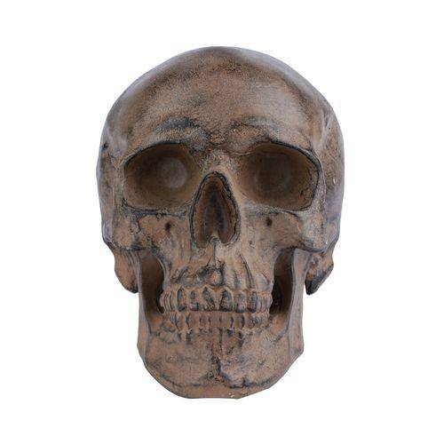 Decor Resina Skull Head Beje 20,5 X 13 X 14 Cm
