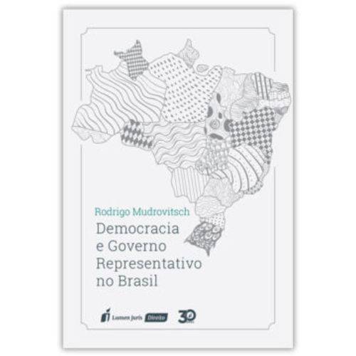Democracia e Governo Representativo no Brasil