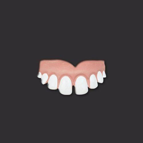 Dentadura Dentão