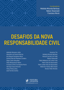 Desafios da Nova Responsabilidade Civil (2019)