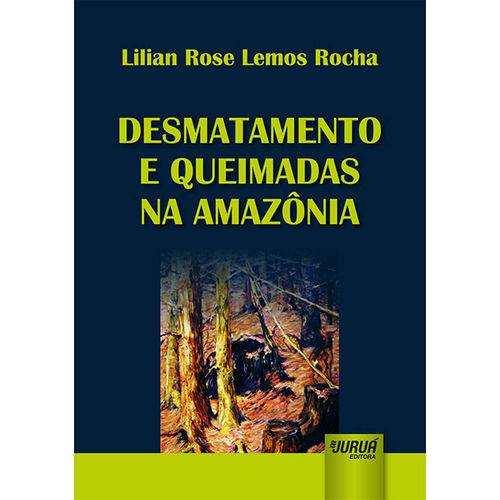 Desmatamento e Queimadas na Amazônia