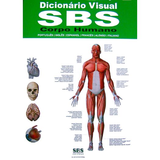 Dicionario Visual Corpo Humano - Sbs