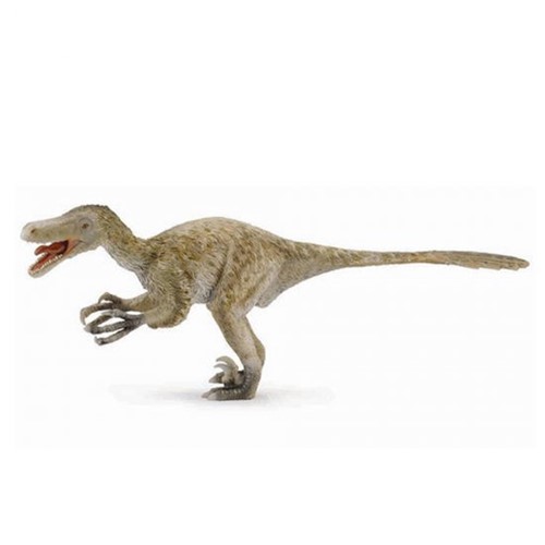 Dinossauro Velociráptor - 1:60 - Collecta