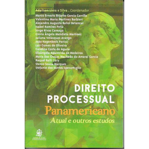 Direito Processual Panamericano Atual e Seus Estudos
