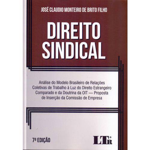 Direito Sindical - 07ed/18