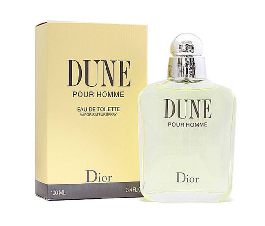 Dune By Christian Dior Masculino 100 Ml