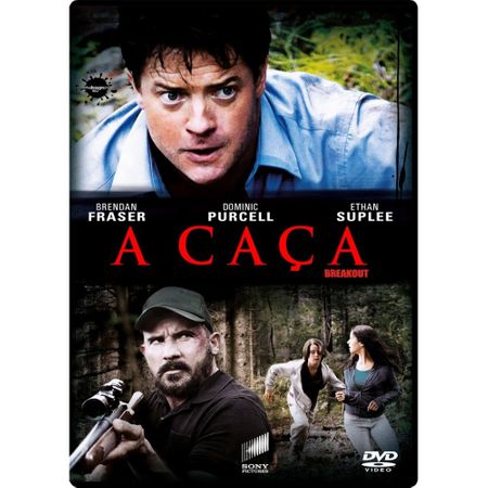 DVD a Caça