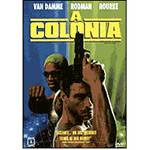 DVD a Colônia