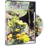 DVD Arte Floral: Funerais