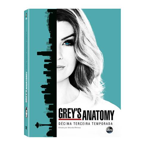 Dvd Box - Grey's Anatomy - 13ª Temporada