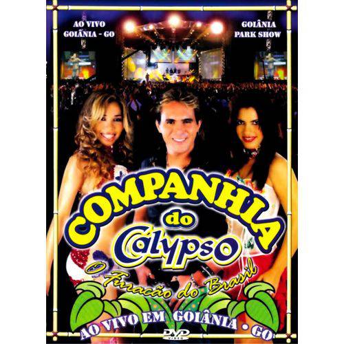 DVD Companhia do Calypso ao Vivo em Goiânia Original
