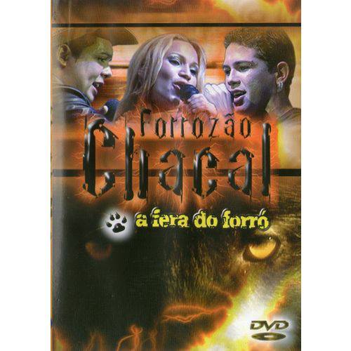 DVD Forrozão Chacal a Fera do Forró Original