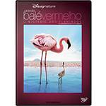 DVD Grande Balé Vermelho - o Mistério dos Flamingos