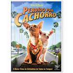 DVD Perdido Pra Cachorro