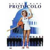 DVD Protocolo