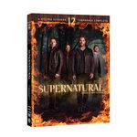 DVD - Supernatural - 12ª Temporada