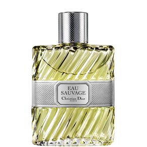 Eau Sauvage Dior Perfume Masculino (Eau de Toilette) 100ml