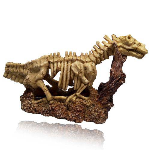 Enfeite de Resina Esqueleto de Dinossauro Craftwork CH-4083