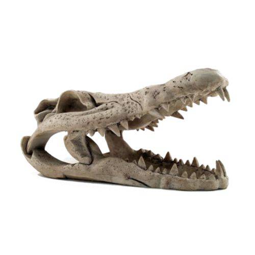 Enfeite de Resina Soma Esqueleto Cabeca de Crocodilo Grande