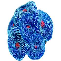 Enfeite para Aquário de Silicone Coral Ricordea 8 Cm Azul - Soma