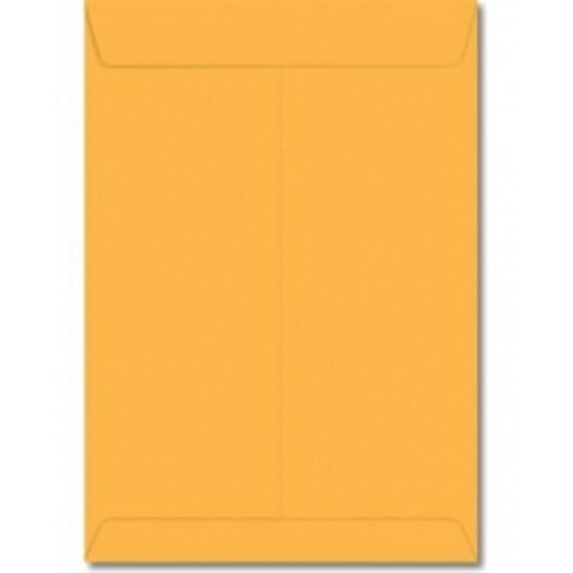 Envelope Saco 200x280mm Amarelo 10un 29.0157-8 Foroni Blister S/L