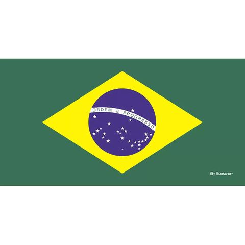 Enxovais Banho Adulto Toalha Banho Normal Altenburg -Praia Veludo Estampado Bandeira do Brasil