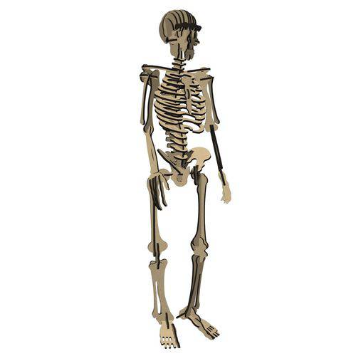 Esqueleto Humano | Quebra Cabeça 3d | 115 Peças - Cru