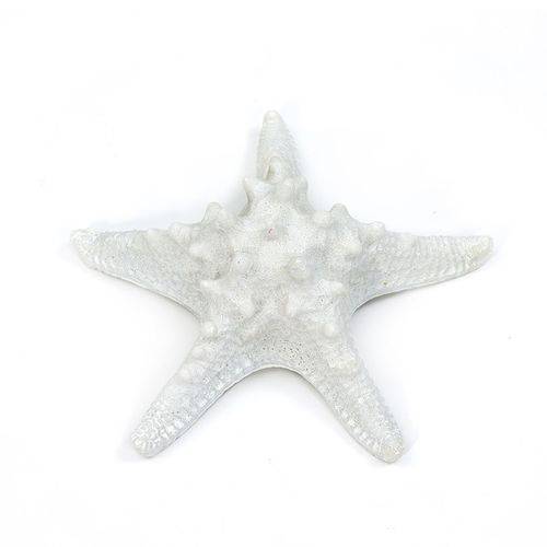 Estrela do Mar Decorativa Branca