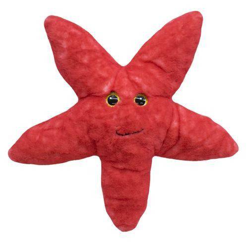 Estrela do Mar Vermelho 42cm - Pelúcia