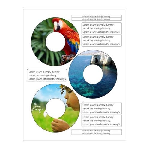 Etiquetas Autoadesivas para CD/DVD Branca Fosca - 50 Folhas Vitrine
