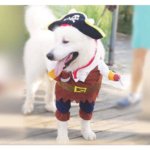 Fantasia para Cachorro - Pirata