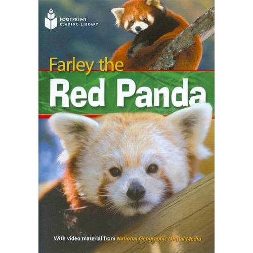 Farley The Red Panda