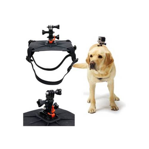 Fetch (Cinturão Canino) para Gopro e Câmeras de Ação Viv-Apm7812 - Vivitar