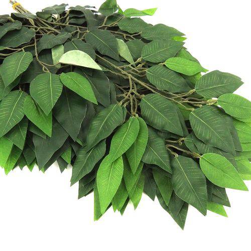 Ficus Verde com Caule Verde - Maço com 12 Ramos - 53cm