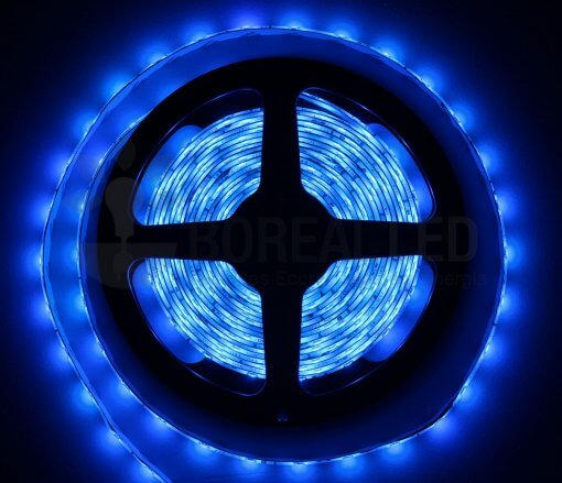 Fita LED 3528 Azul 5 Metros 300 Leds 12V IP65 Prova D'agua