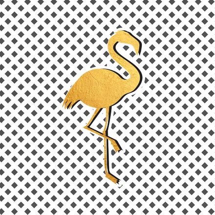 Flamingo - 20 X 20 Cm - Papel Fotográfico Fosco