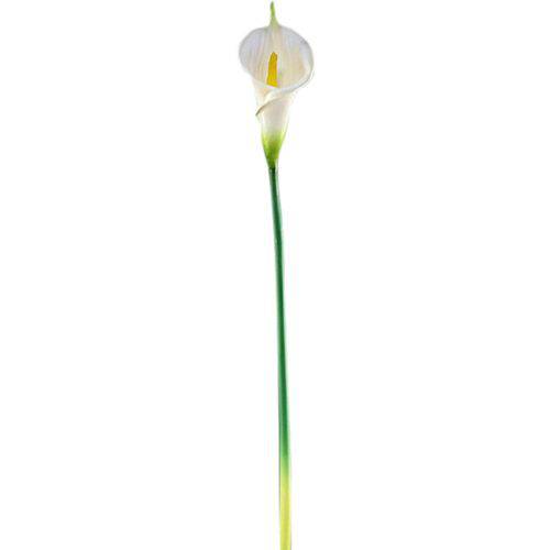 Flor Artificial Copo de Leite Branco - Melyana