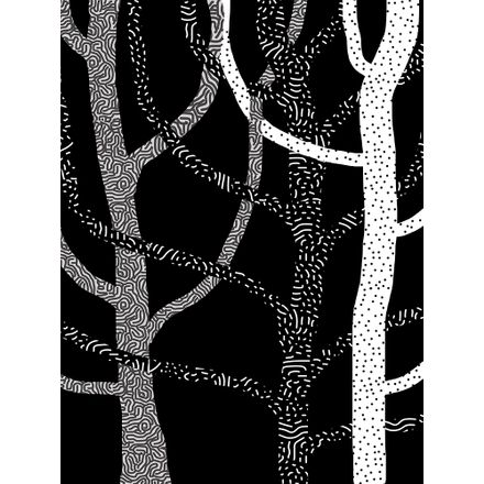 Floresta Noturna 2 - 36 X 47,5 Cm - Papel Fotográfico Fosco