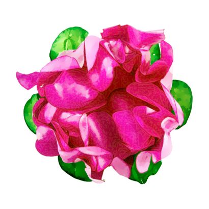 Forma Decorativa para Bombom Rosa Maior Rosa 40un Decora Doces